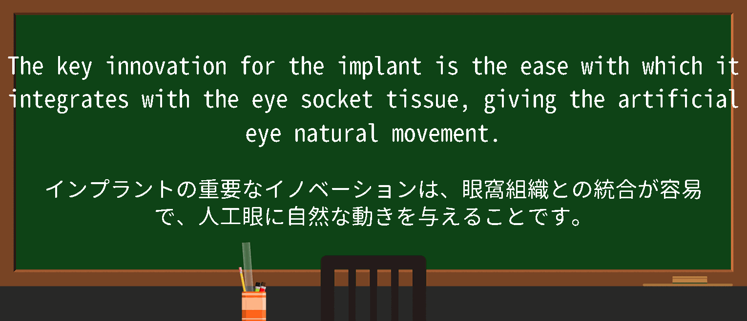 【英単語】eyesocketを徹底解説！意味、使い方、例文、読み方