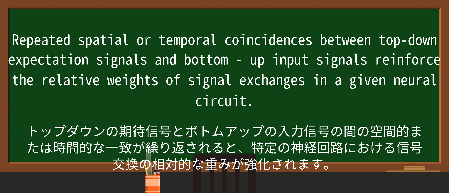 【英単語】bottomupを徹底解説！意味、使い方、例文、読み方