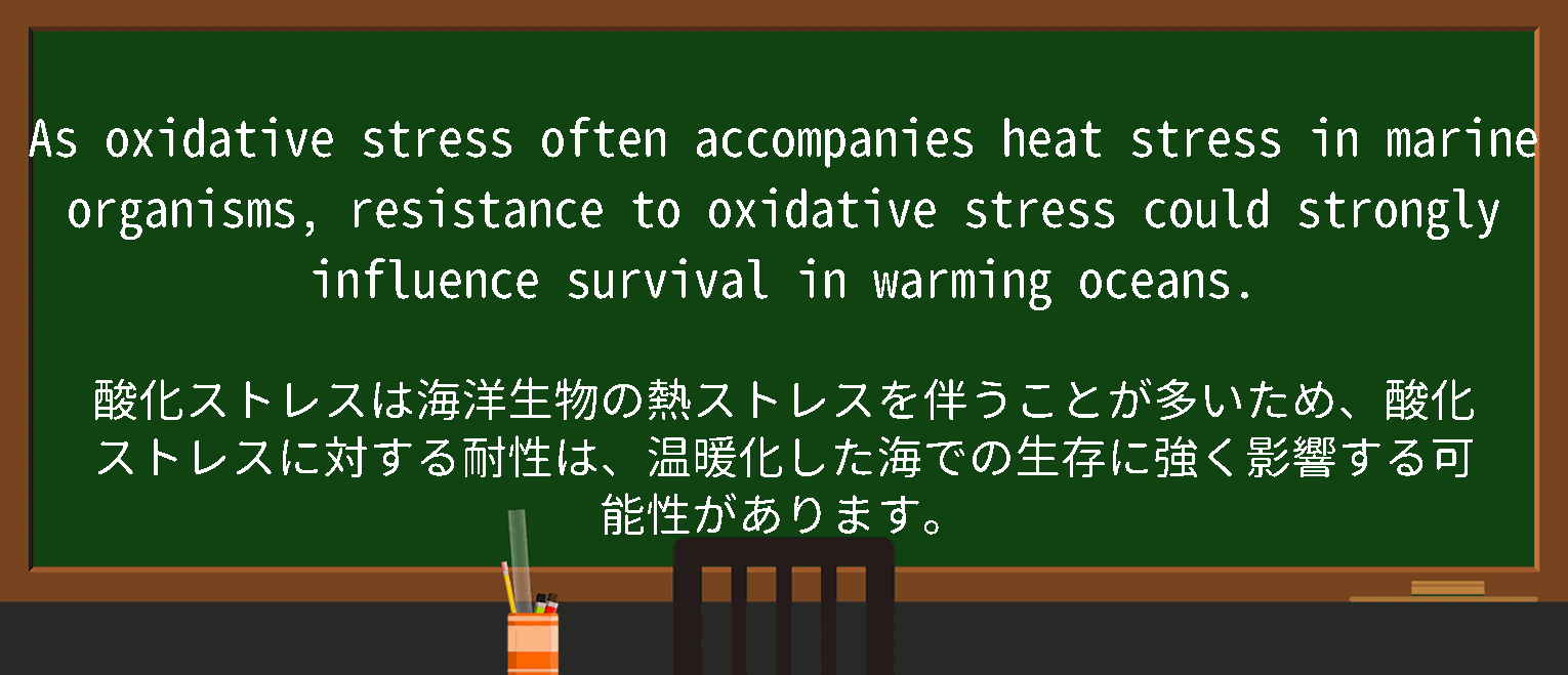 【英単語】heat stressを徹底解説！意味、使い方、例文、読み方