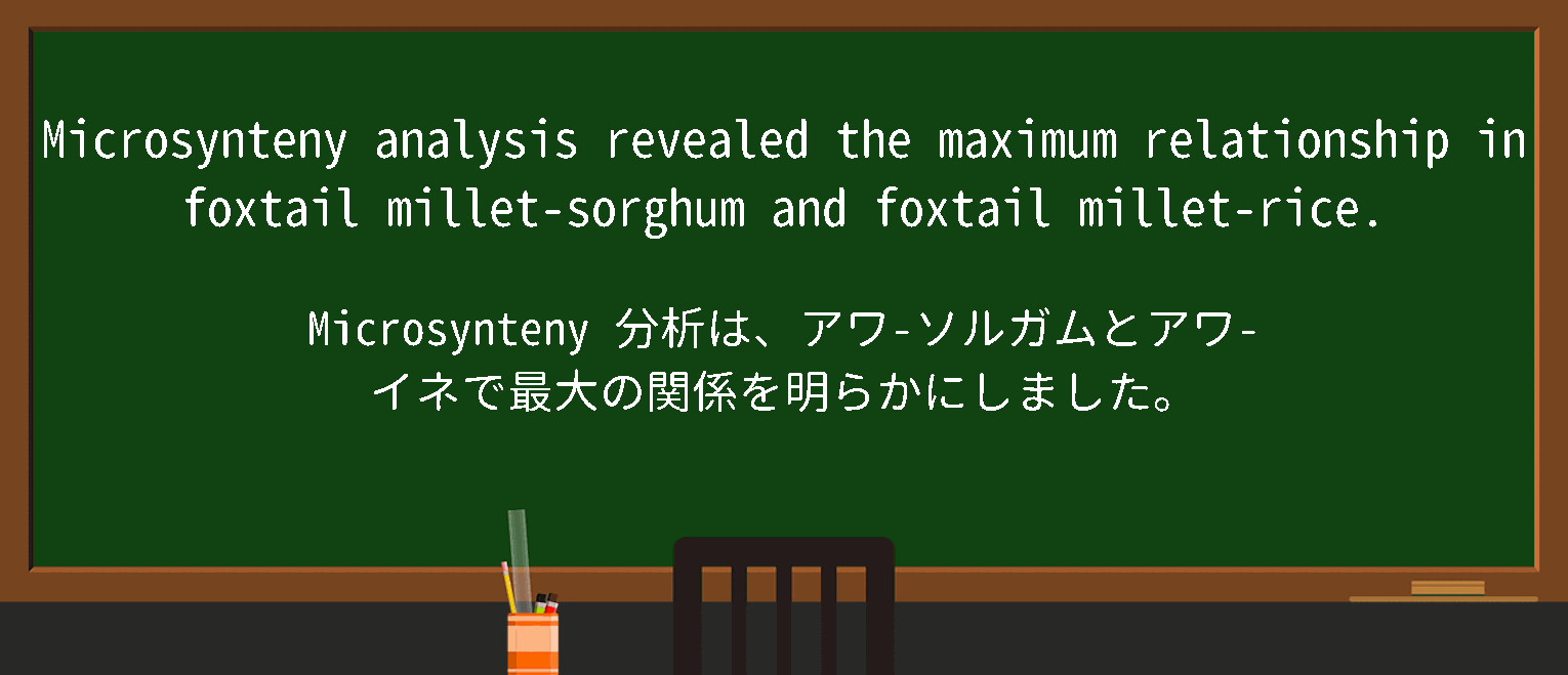 【英単語】foxtail milletを徹底解説！意味、使い方、例文、読み方