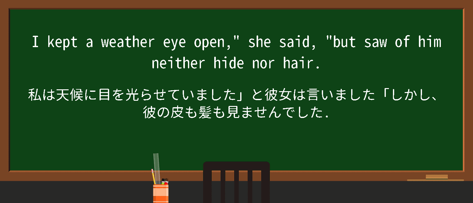 【英単語】neither hide nor hairを徹底解説！意味、使い方、例文、読み方