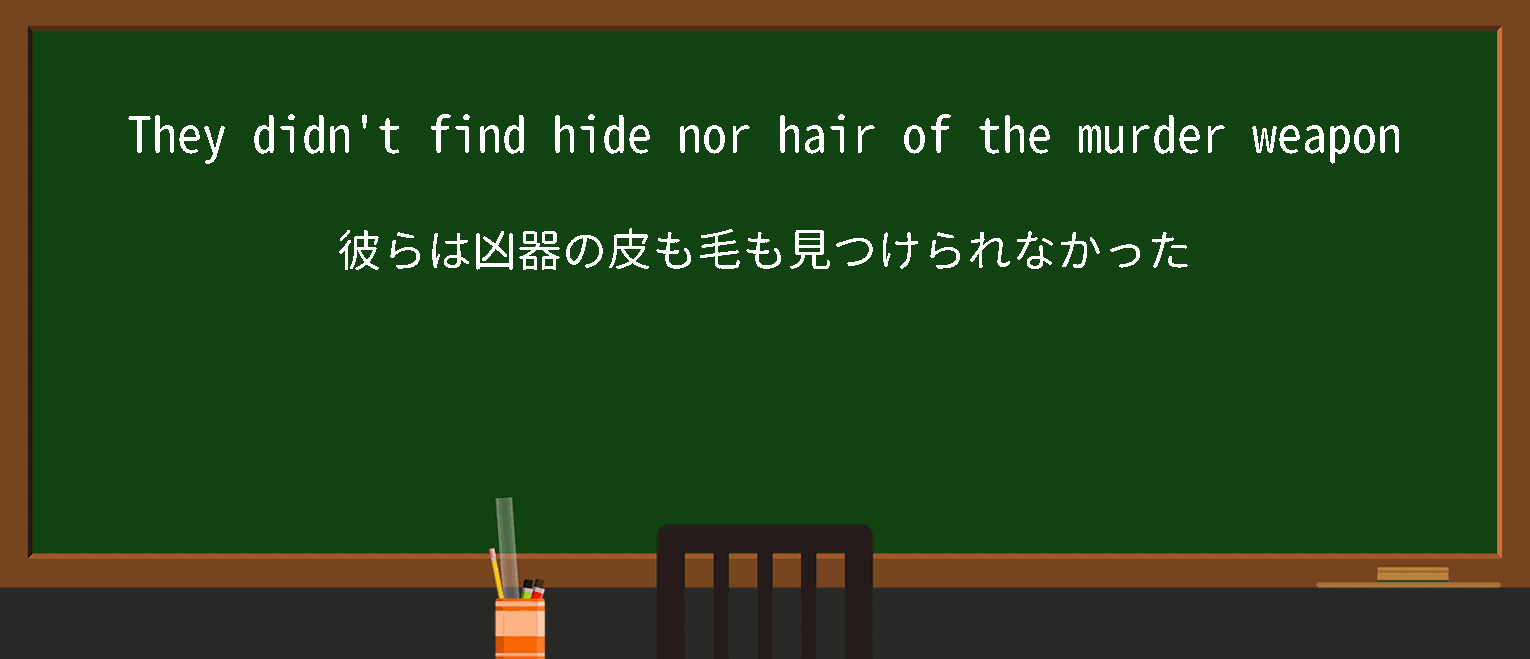 【英単語】hide nor hairを徹底解説！意味、使い方、例文、読み方