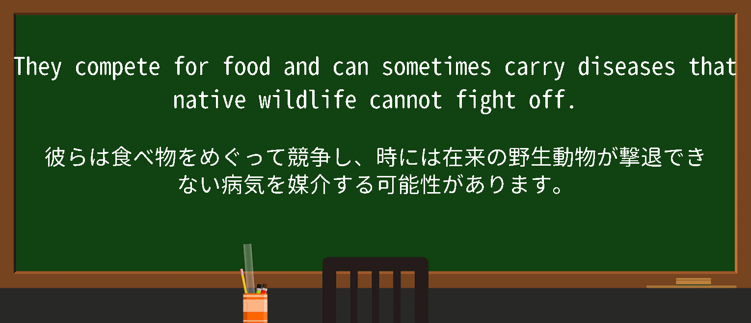 【英単語】carry diseaseを徹底解説！意味、使い方、例文、読み方