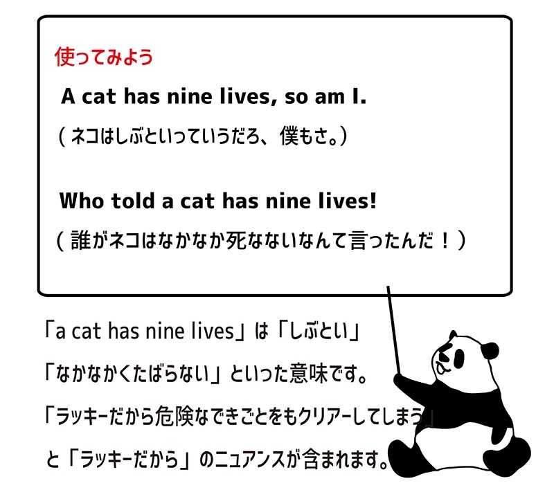 a cat has nine livesの意味と使い方 eigolab(えいご研）