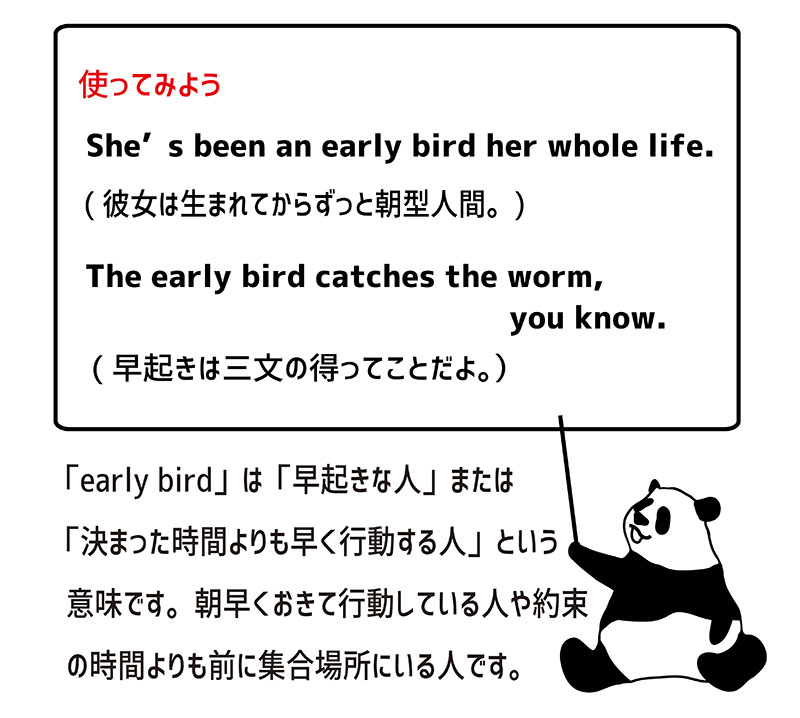 英語のイディオム：early birdの意味と使い方 eigolab(えいごラボ）