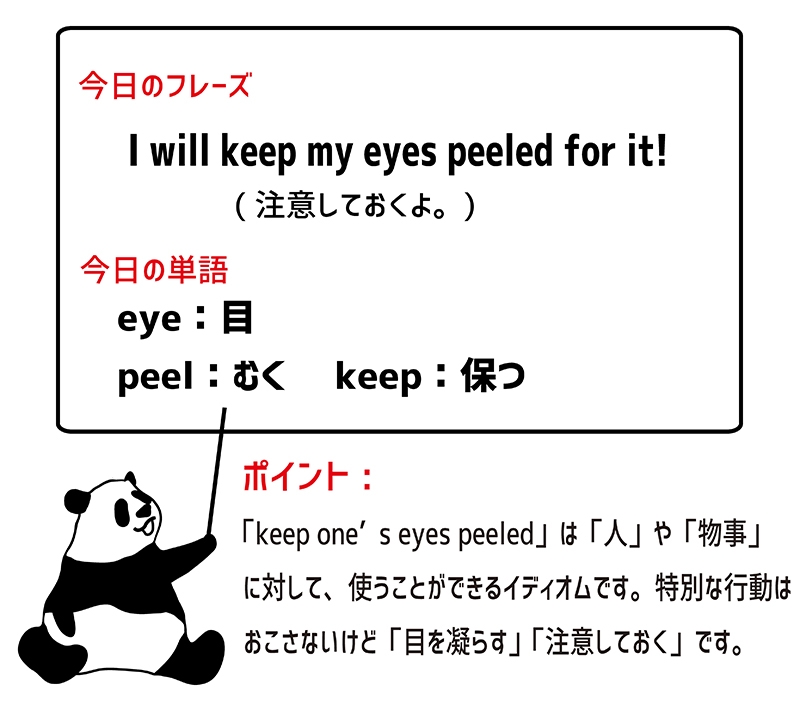 keep one’s eyes peeledの意味と使い方 eigolab(えいご研）