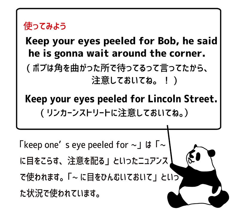 keep one’s eyes peeledの意味と使い方 eigolab(えいご研）