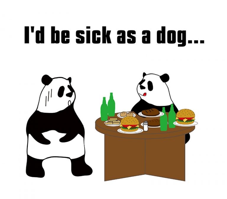 英語のイディオム：sick as a dogの意味と使い方 eigolab(えいご研）