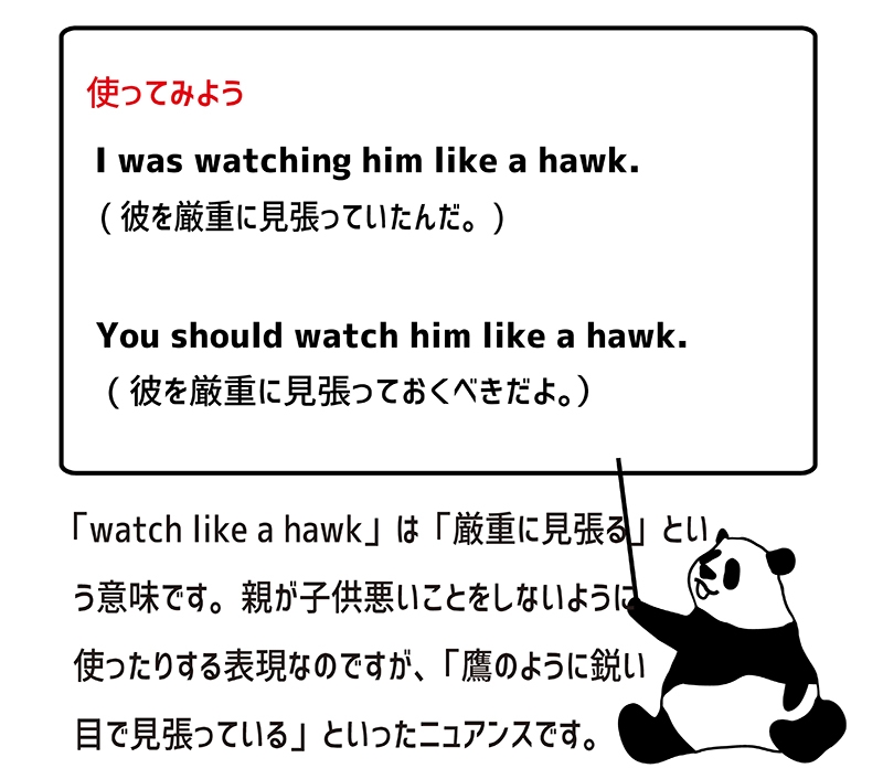 英語のイディオム：watch like a hawkの意味と使い方 eigolab(えいごラボ）