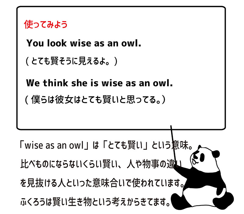 英語のイディオム：wise as an owlの意味と使い方 Eigolab