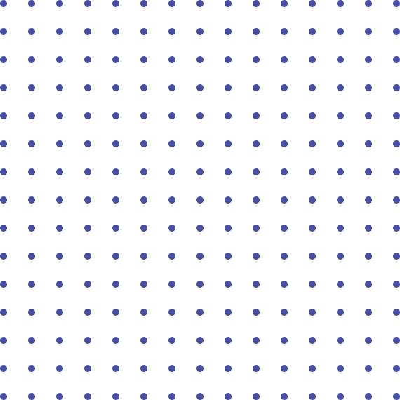 Executive Security Eilat Limousine