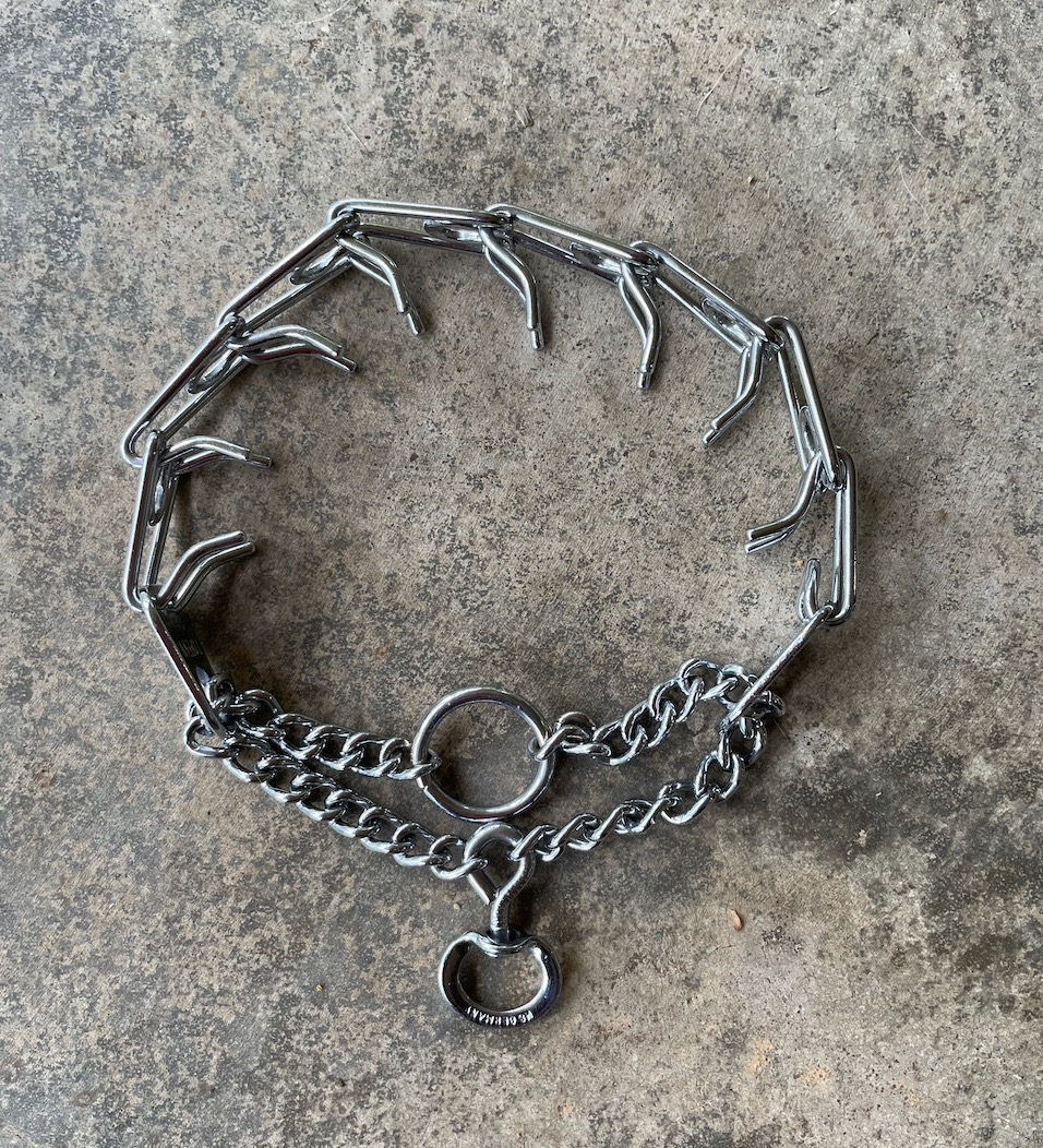 a prong collar