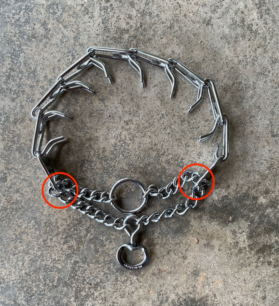 prong collar dead ring