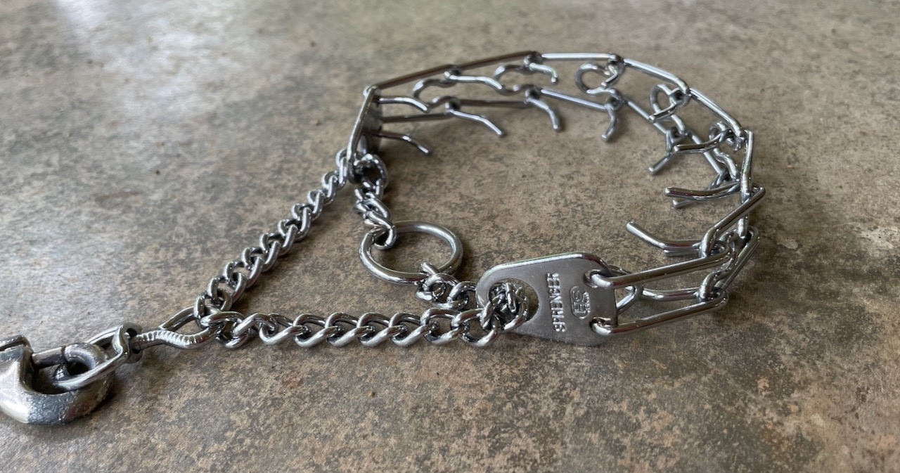 Questions to Ask About That Bizarre Prong Collar Diagram | eileenanddogs