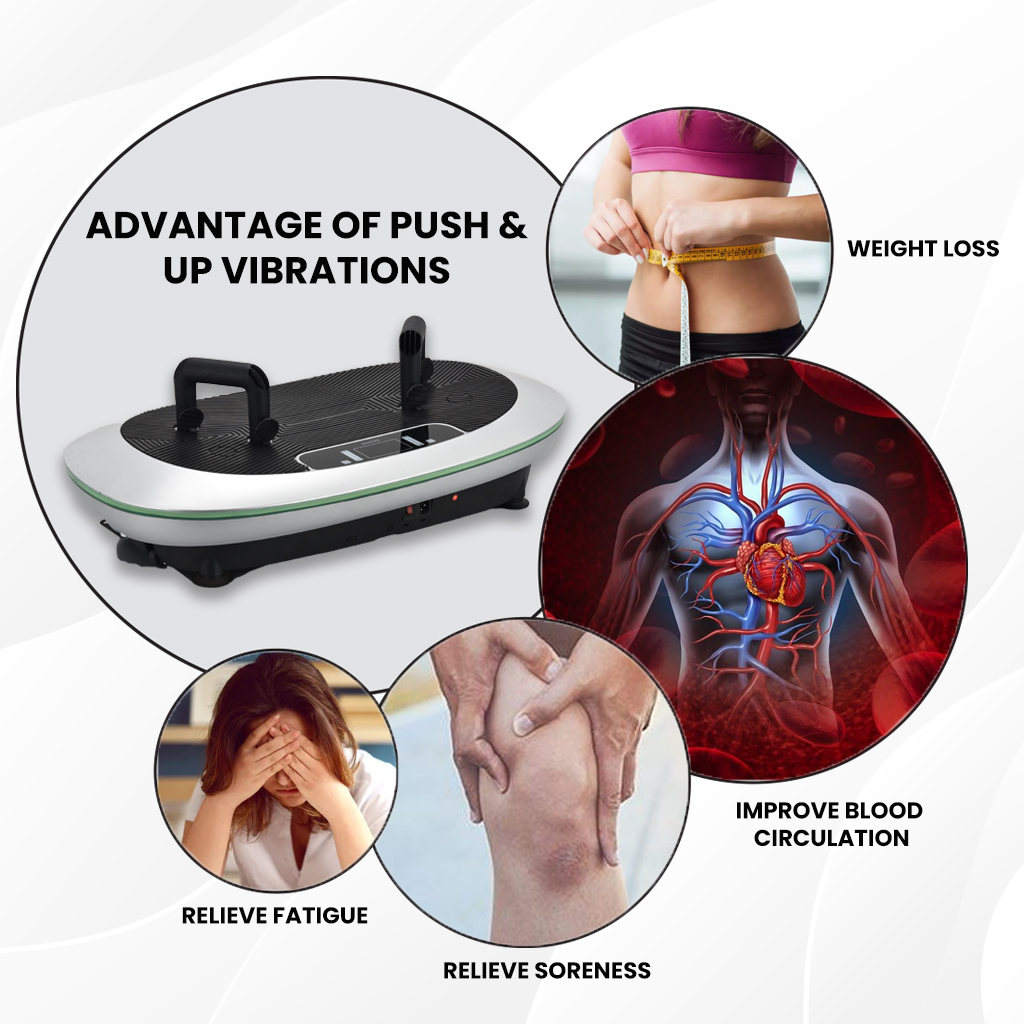 Eilison Global 4D Vibration Plate