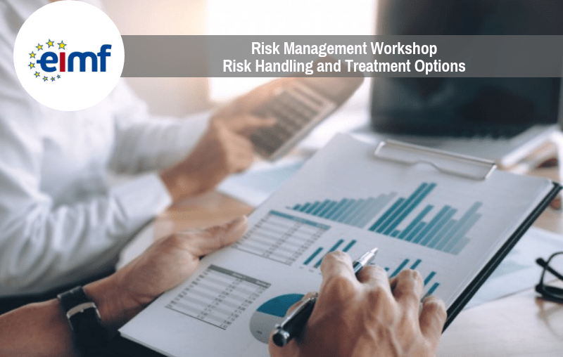 Risk Management Risk Handling and Treatment Options