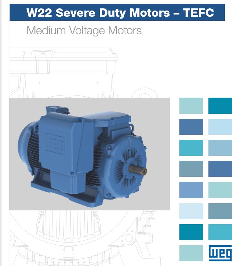 WEG Medium Voltage Motors Eastland Industries