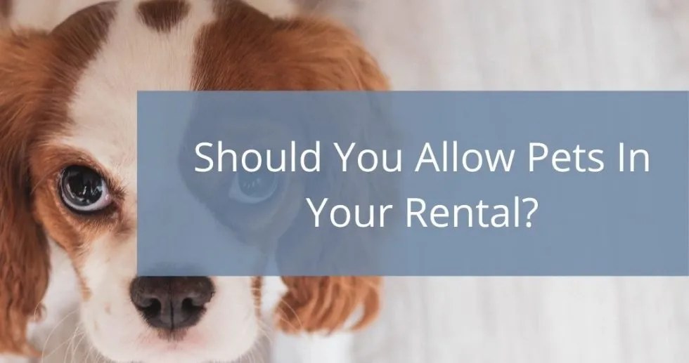 Should you allow pets in your rental? Eagle Property Management