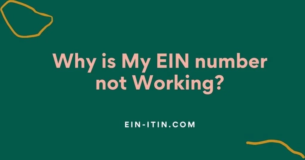 Why is My EIN number not Working?