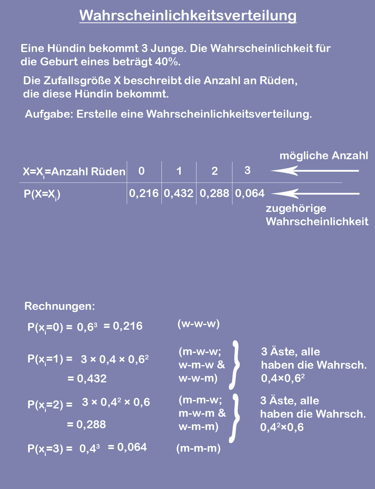 Wahrscheinlichkeitsverteilung Erklärung und Beispiel