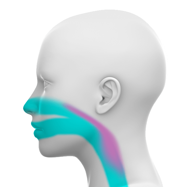 Sleep Apnea Newport, TN Morristown, TN Sevierville, TN Sleep