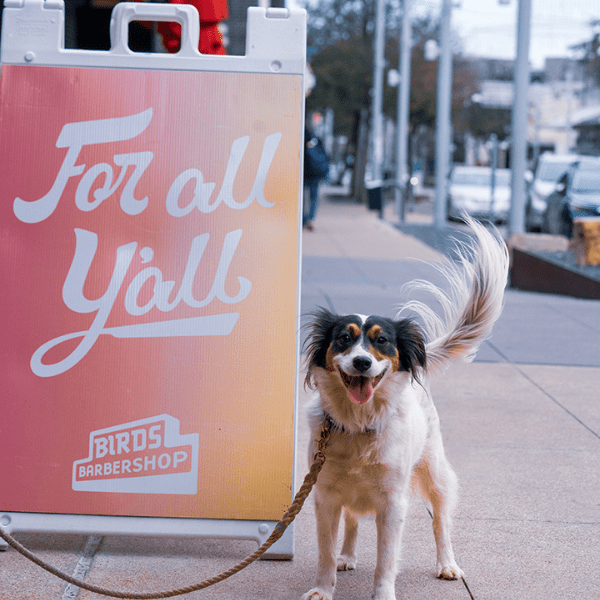 Dog Adventure Days Einstein K9