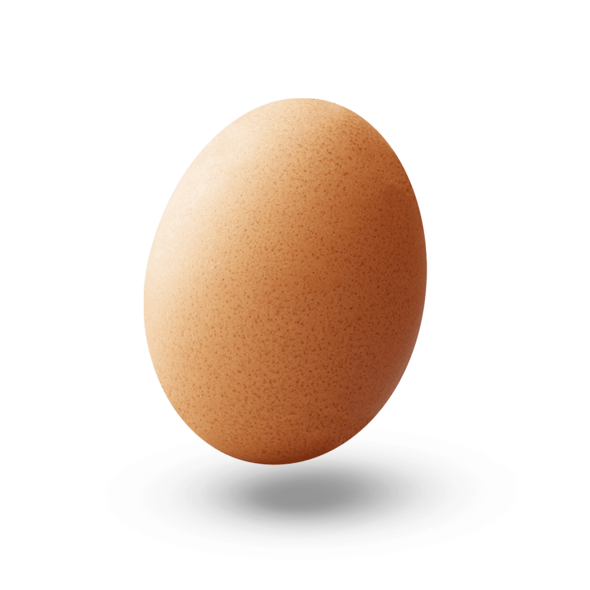 Egg innovations - EIPRO