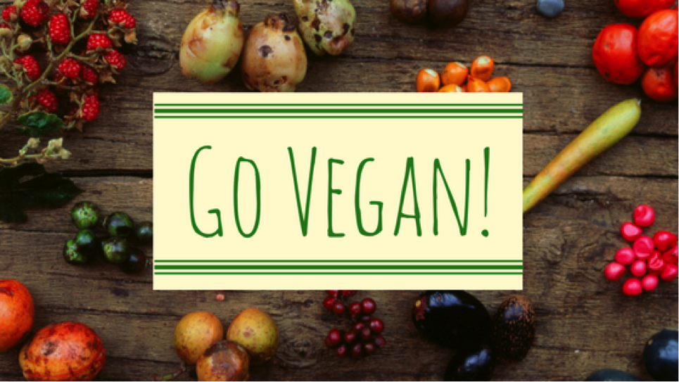 How PETA Can Better Promote Veganism panther pr