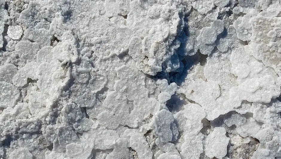 Can I Use Saline Solution On My Cat? Catmosphere Cafe