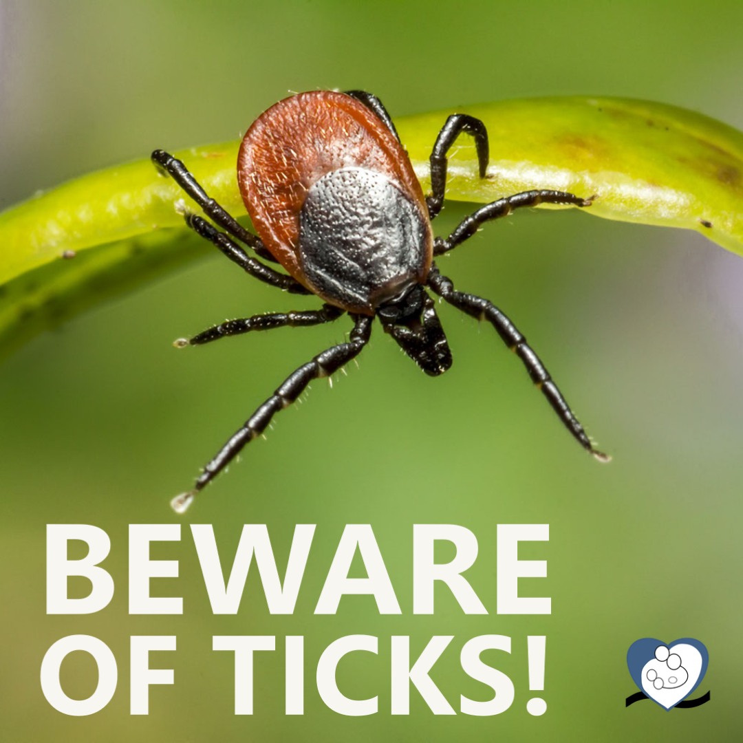 Spring seasonal tick awareness notice East Jordan Family Health Center