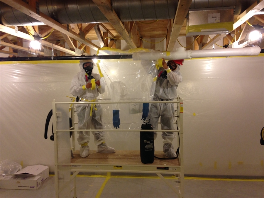 Asbestos removal EXTERIOR BUILDING & MAINTEANCE FOR BUSINESS LOCATION