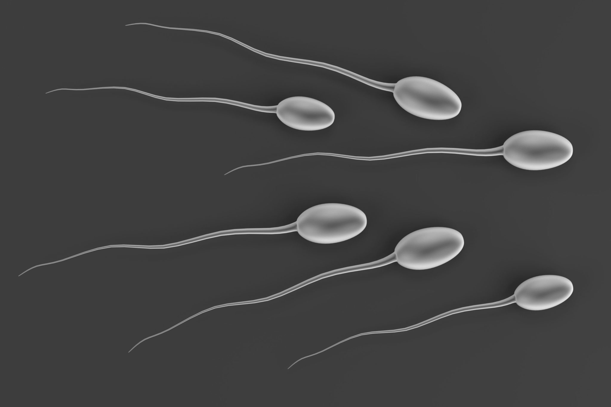 10 Things You Must Know About Being A Sperm Donor Ejournalz