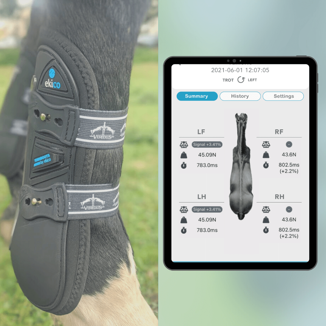 Our solutions for veterinarians • Ekico
