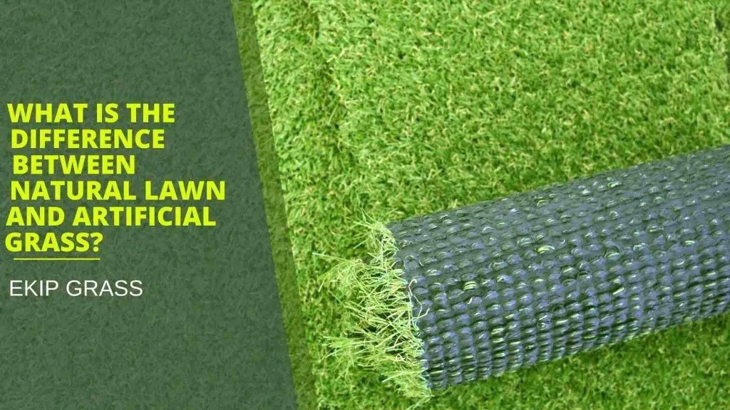 Was ist der Unterschied zwischen Naturrasen und Kunstrasen?