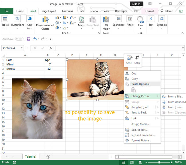 Save picture inserted in Excel document as file eKiwiBlog.de