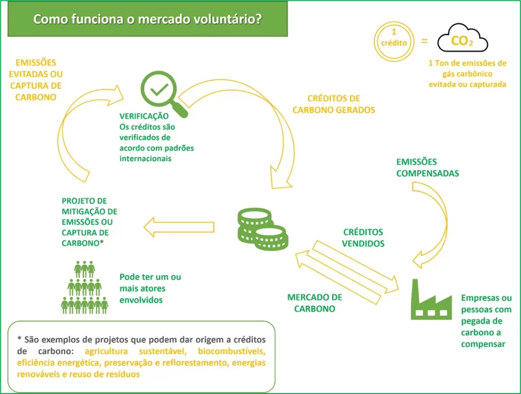 Crédito de Carbono O Que É e Como Funciona e Quanto Vale? (2024)