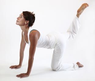 viyaghrasana tigre ouverture bassin yoga&vedas