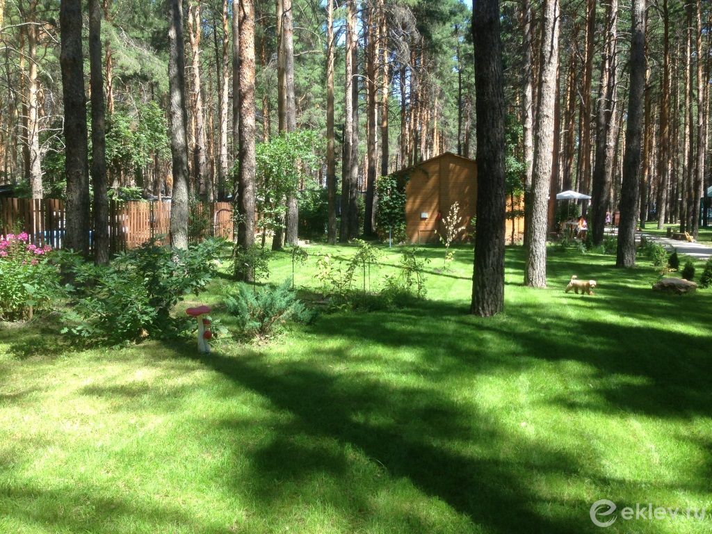 База отдыха "Чайка" рыболовная база