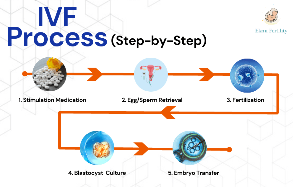 IVF Procedure and Fees