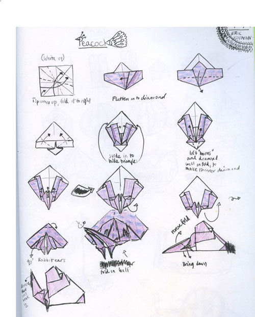 Origami Bird Make-Origami.com