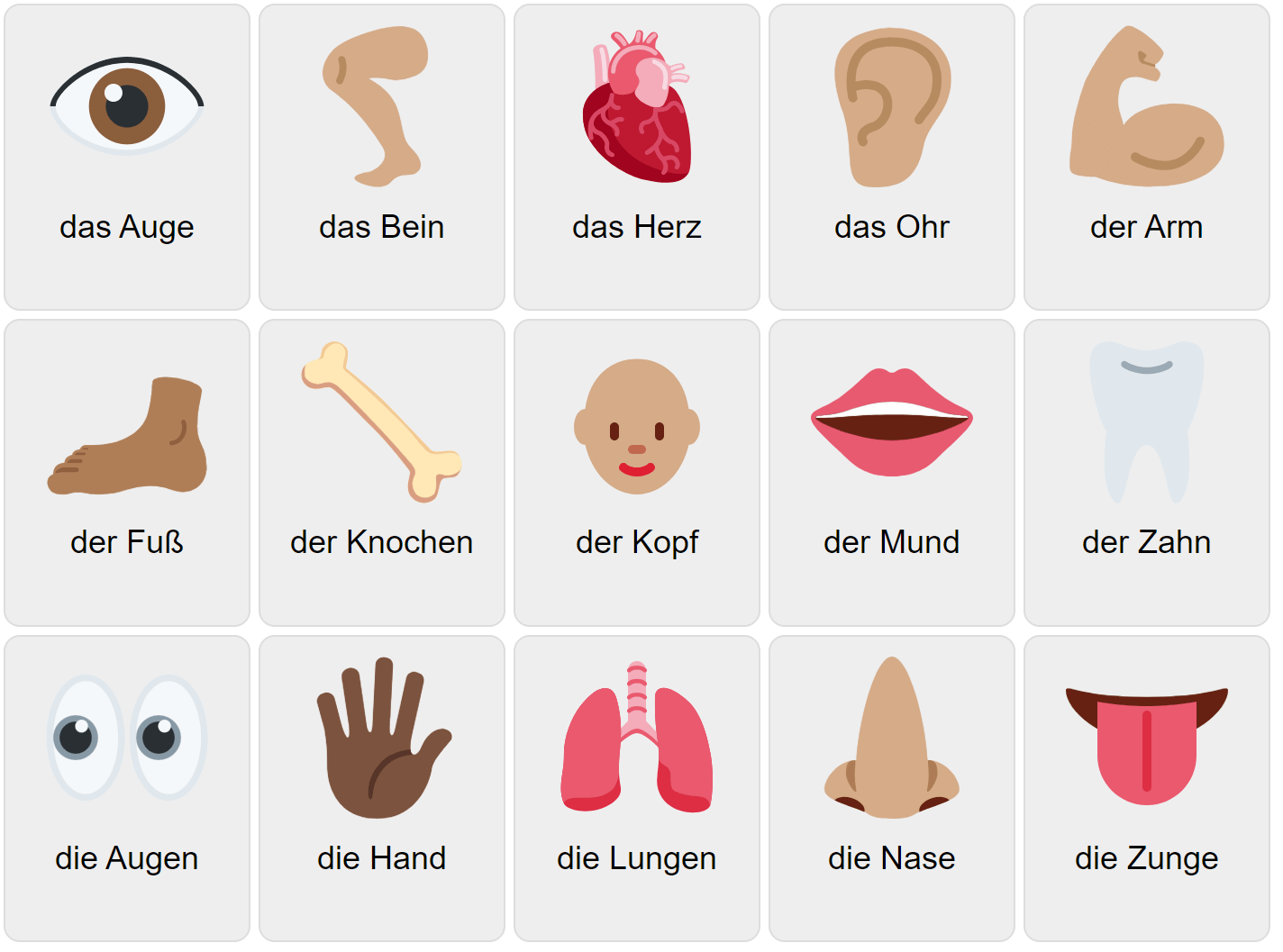 German Vocabulary Game Ekvis