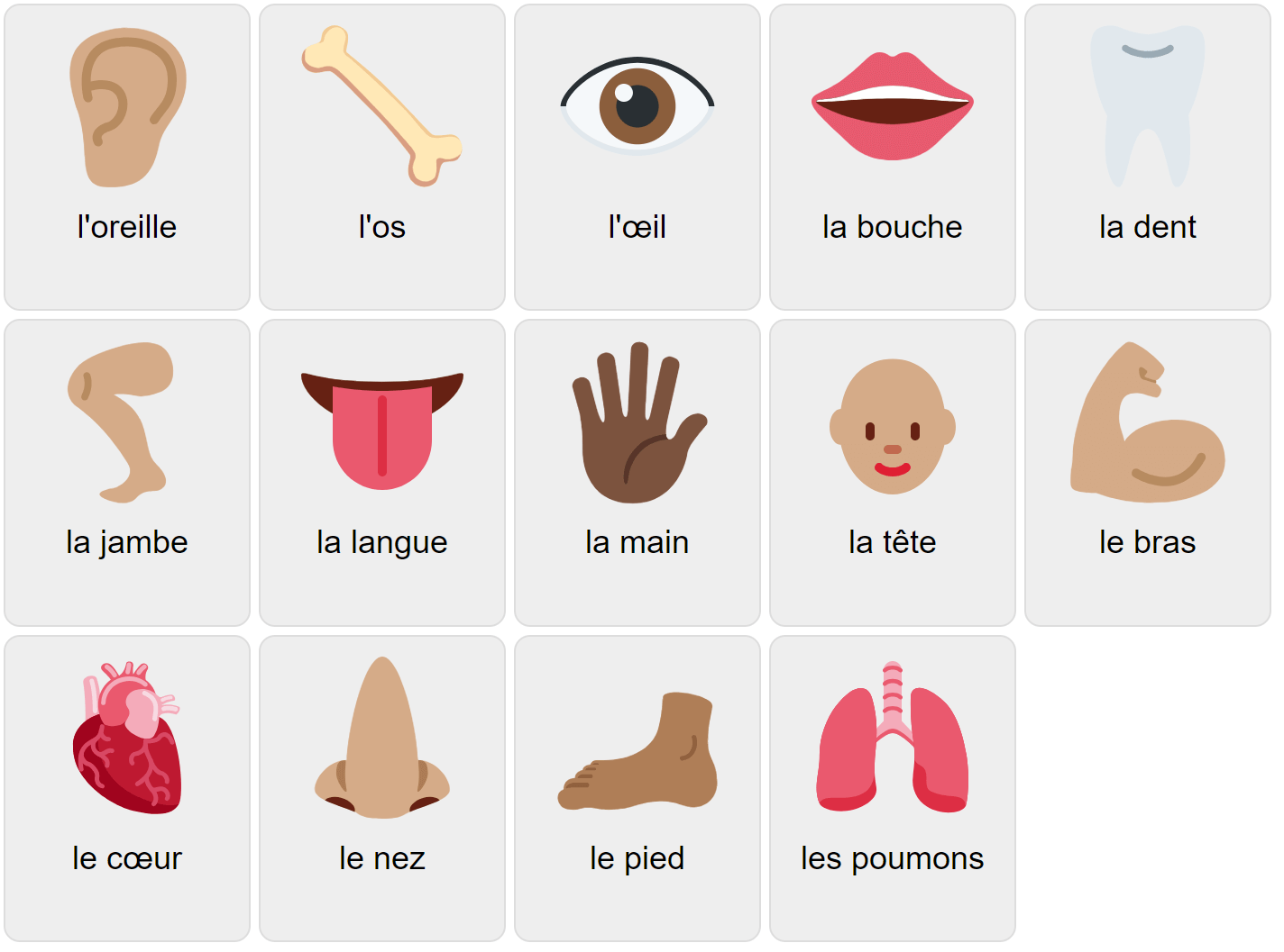 Body Parts in French Vocabulary Game