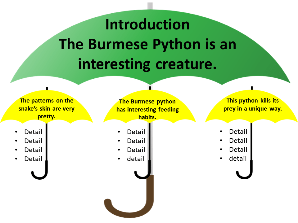 topic sentence umbrellas python example TeacherWritten Lesson Plans