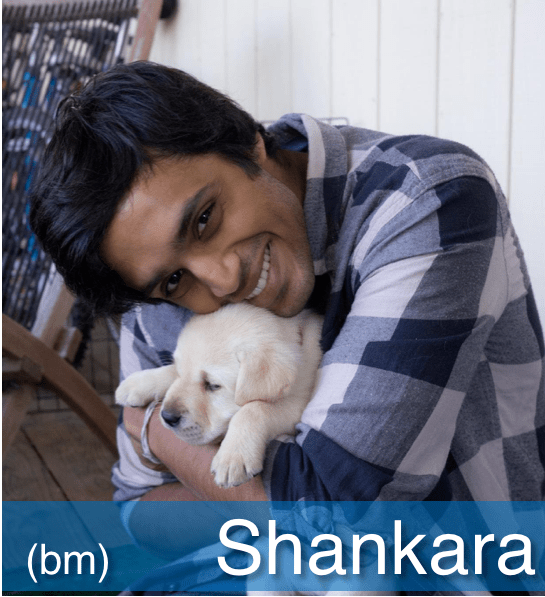 Elainedra's Wedding