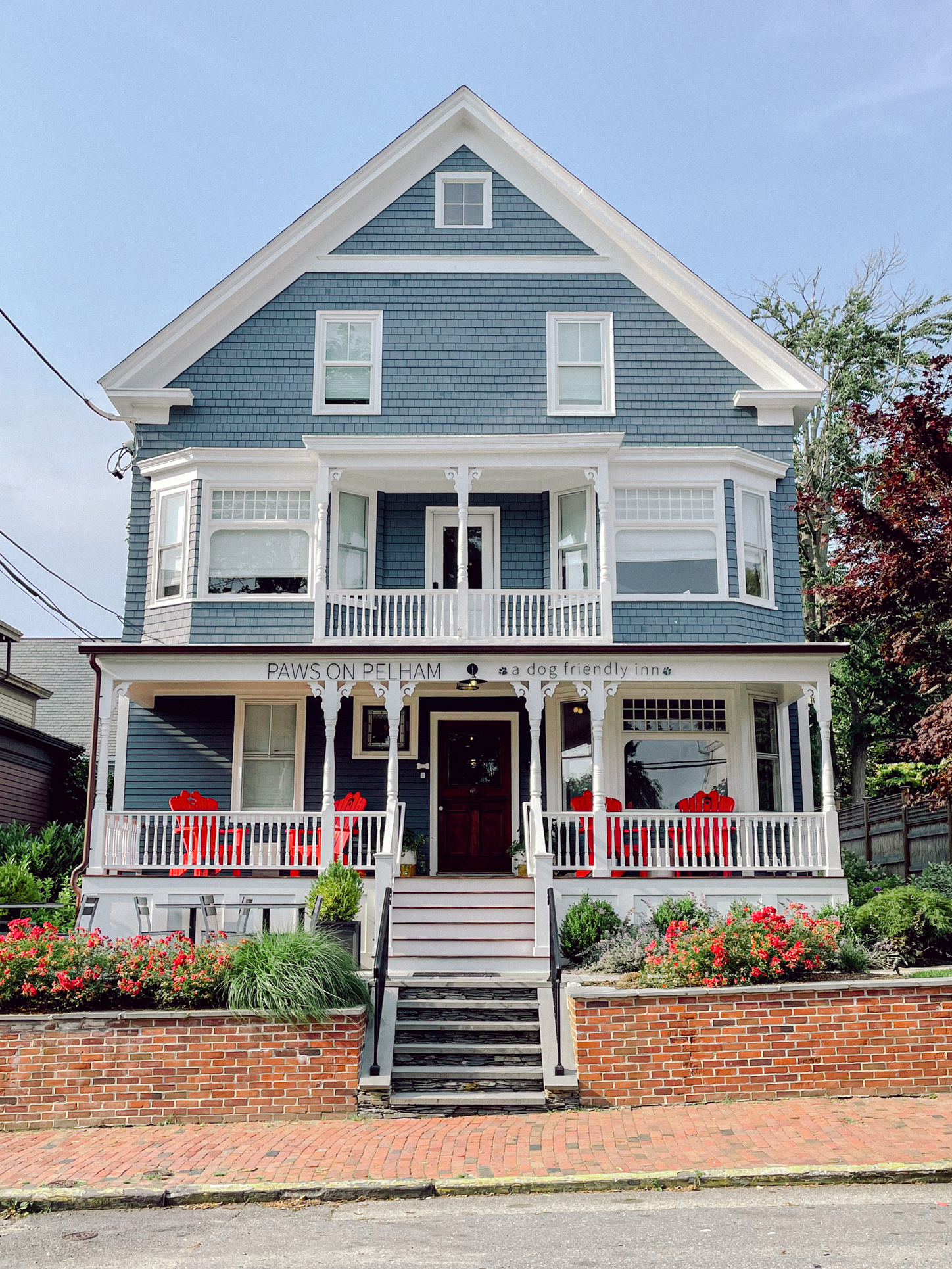 DogFriendly Newport, Rhode Island