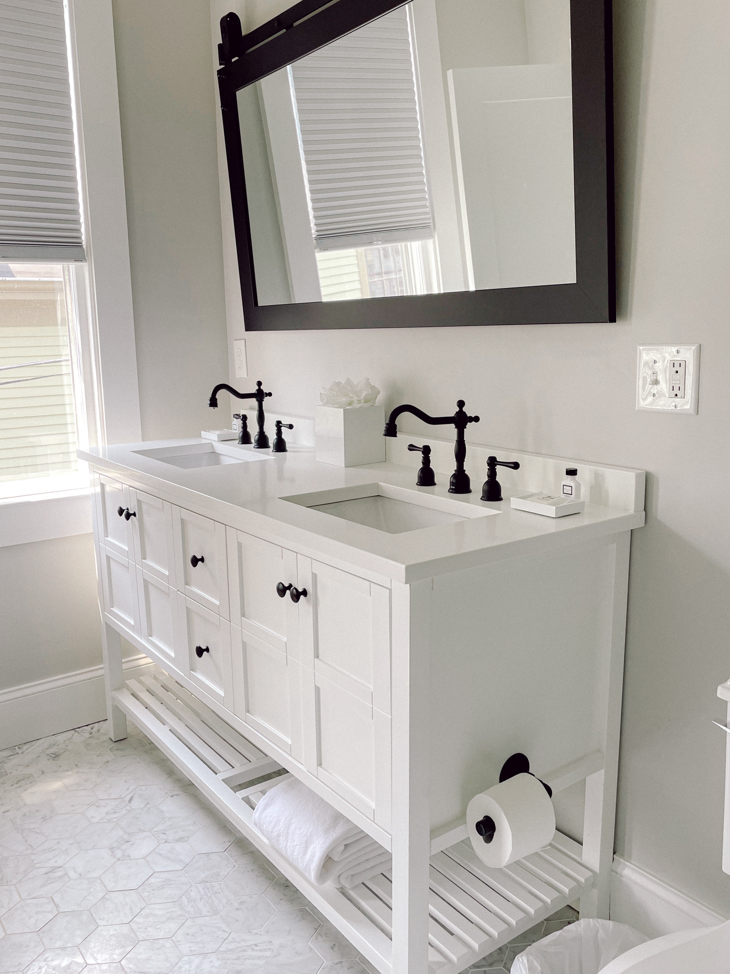 DogFriendly Newport, Rhode Island