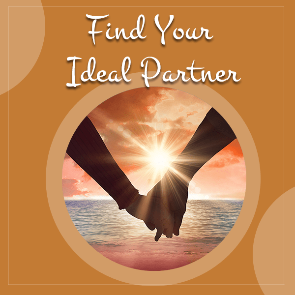 Find Your Ideal Partner Elaine Perliss