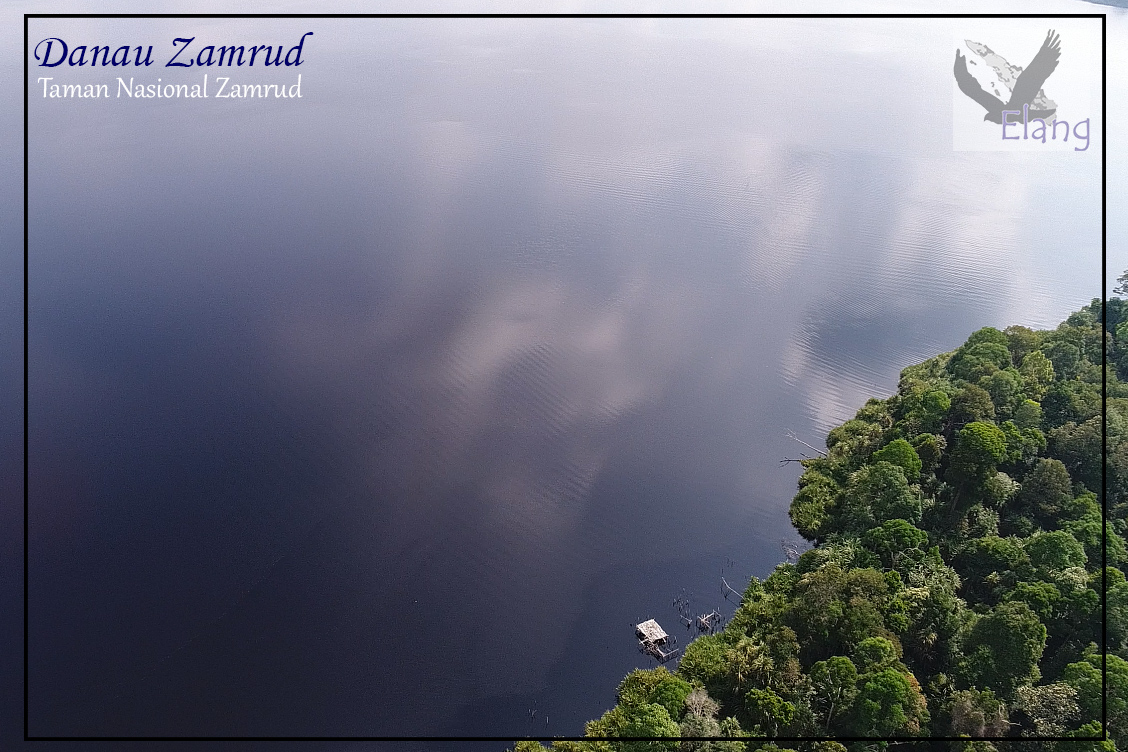 Contoh proposal pengajuan skt majelis taklim. Proposal Pengelolaan Hutan Sebagai Tempat Wisata : KONSEP ...