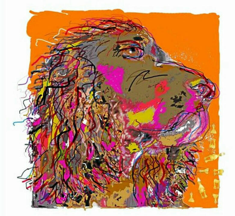 Ein Feuerwerk Der Bildenden Kunst Elbe Jeetzel