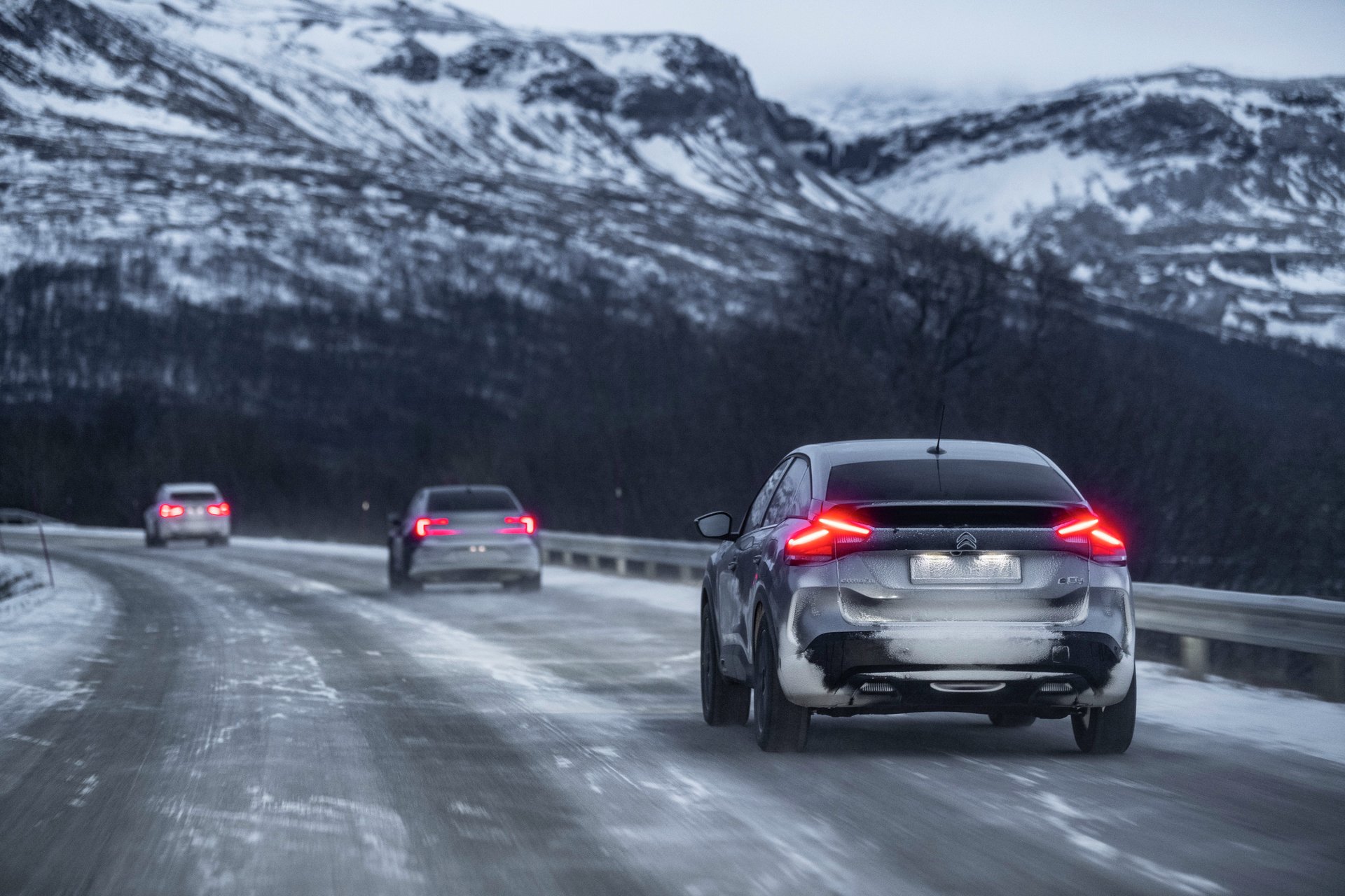 Norwegian EV market Norsk elbilforening